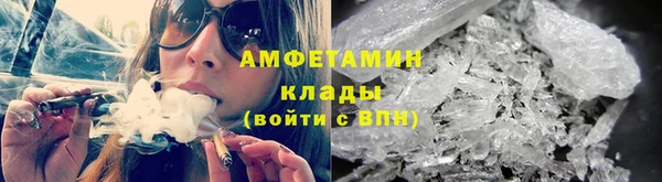 прущие грибы Бугульма