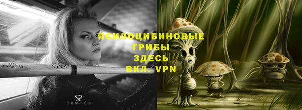 прущие грибы Бугульма