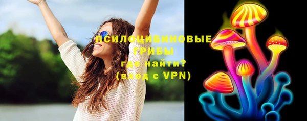 прущие грибы Бугульма