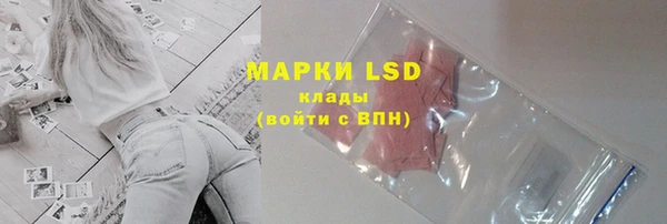 прущие грибы Бугульма