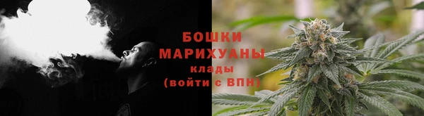 наркотики Бородино