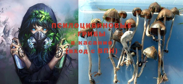 прущие грибы Бугульма
