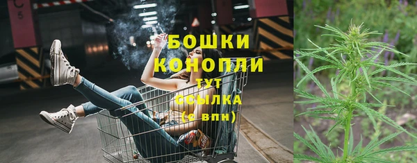 прущие грибы Бугульма