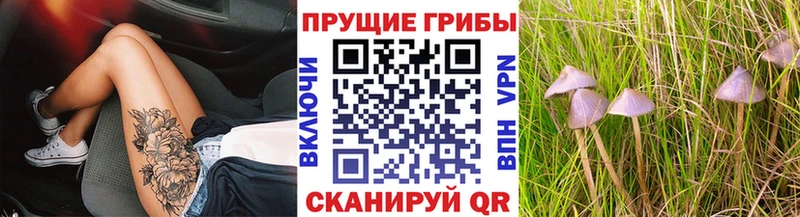 Псилоцибиновые грибы мухоморы  Вичуга 